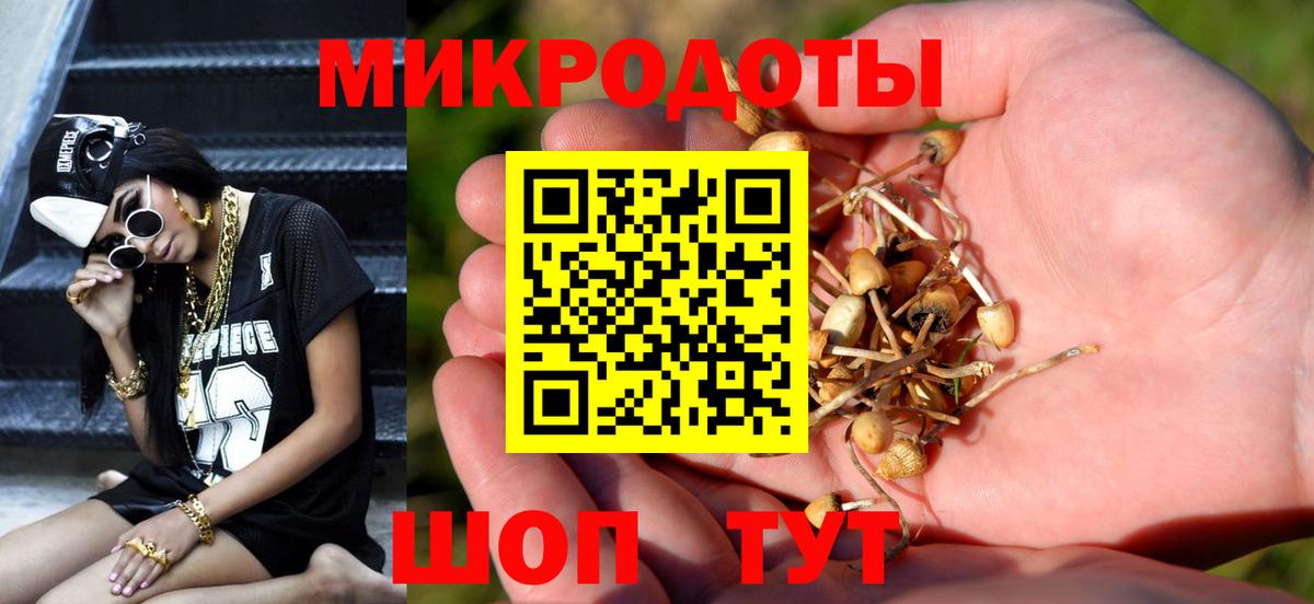 Галлюциногенные грибы Psilocybine cubensis  что такое наркотик  Дмитров  Вход с VPN  Псилоцибиновые грибы Cubensis 